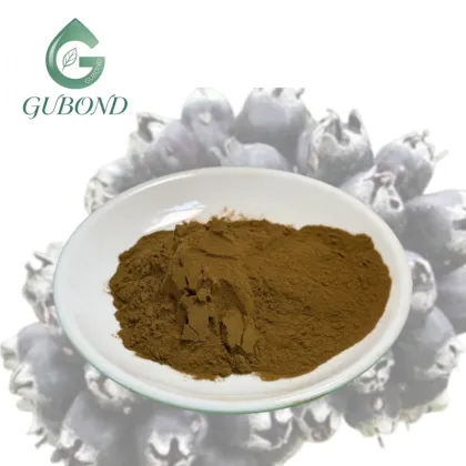 Siberian Ginseng Extract Powder for Nutritional Supplements