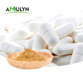 Shiitake Mushroom extract Mushroom polysaccharide