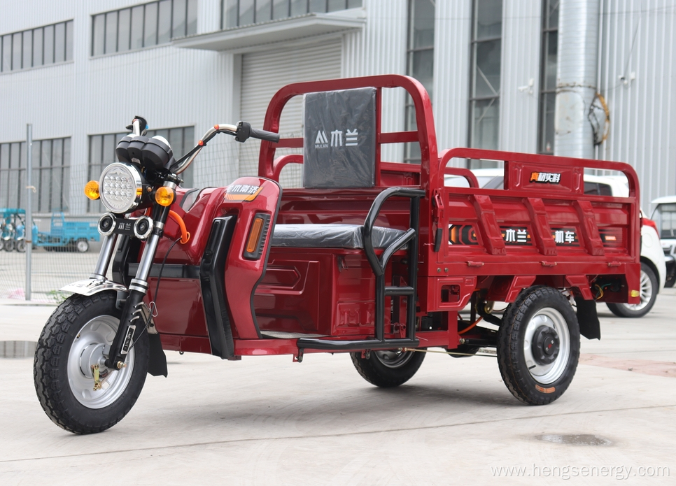 Cheaper Passengers Electric Tricycle Three Wheels For Family