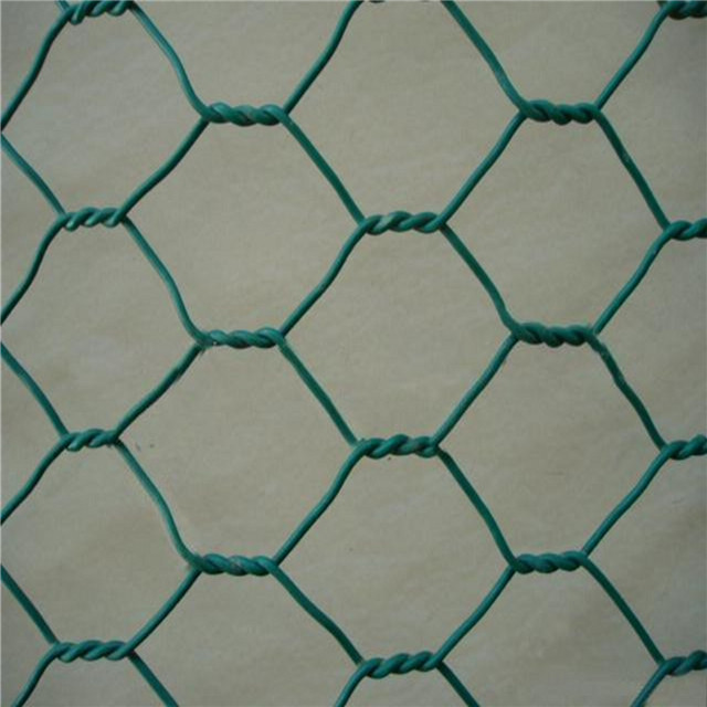 Galvanized Hexagonal Poultry Mesh Netting Used for Bird Cages