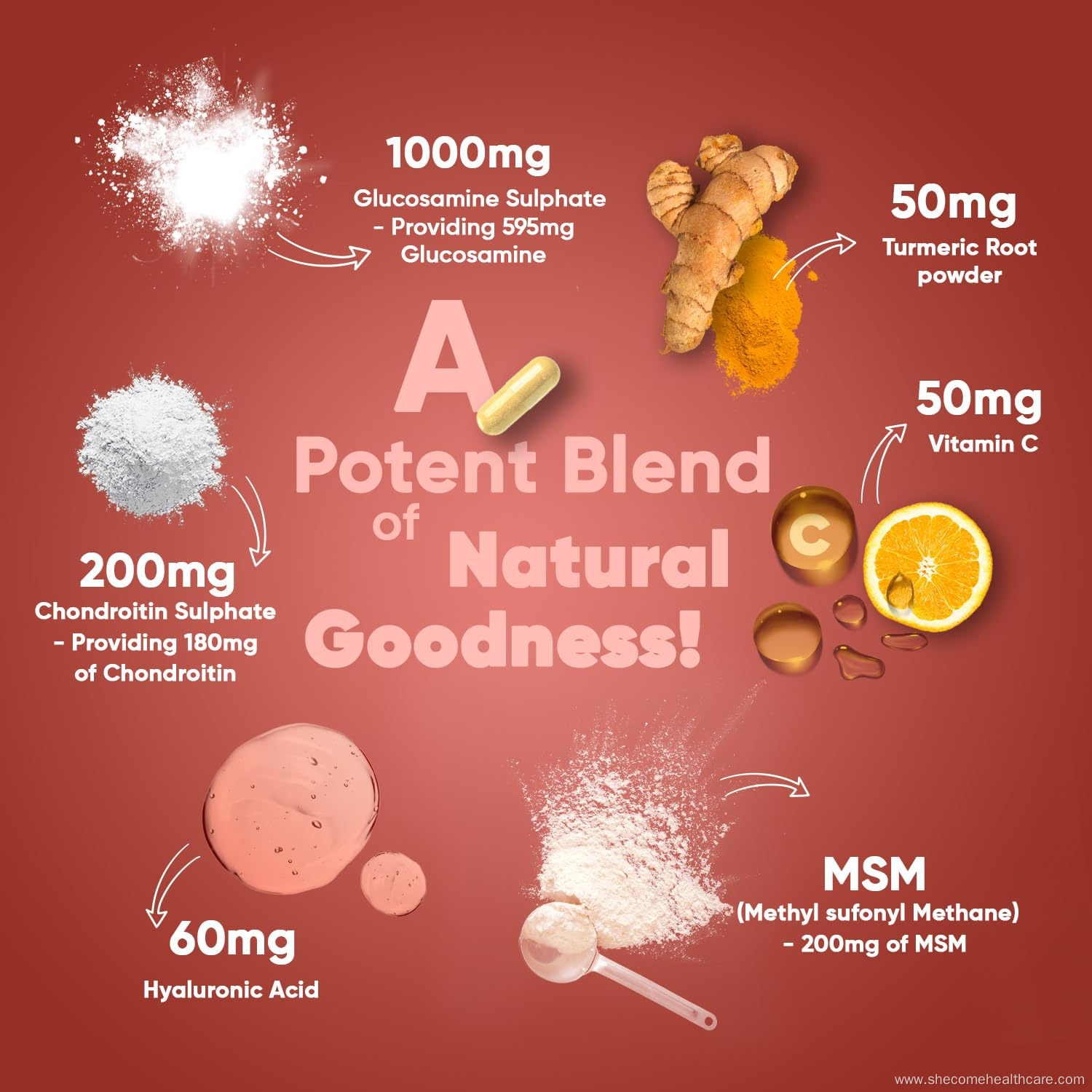 msm joint health supplement maintain chondroitin capsules