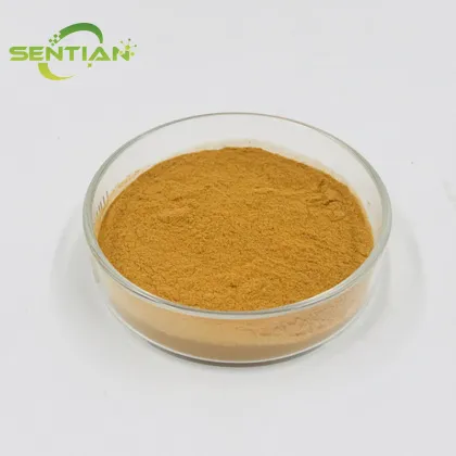 Organic Gynostemma Leaf Supplement