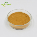 Premium Gynostemma Extract