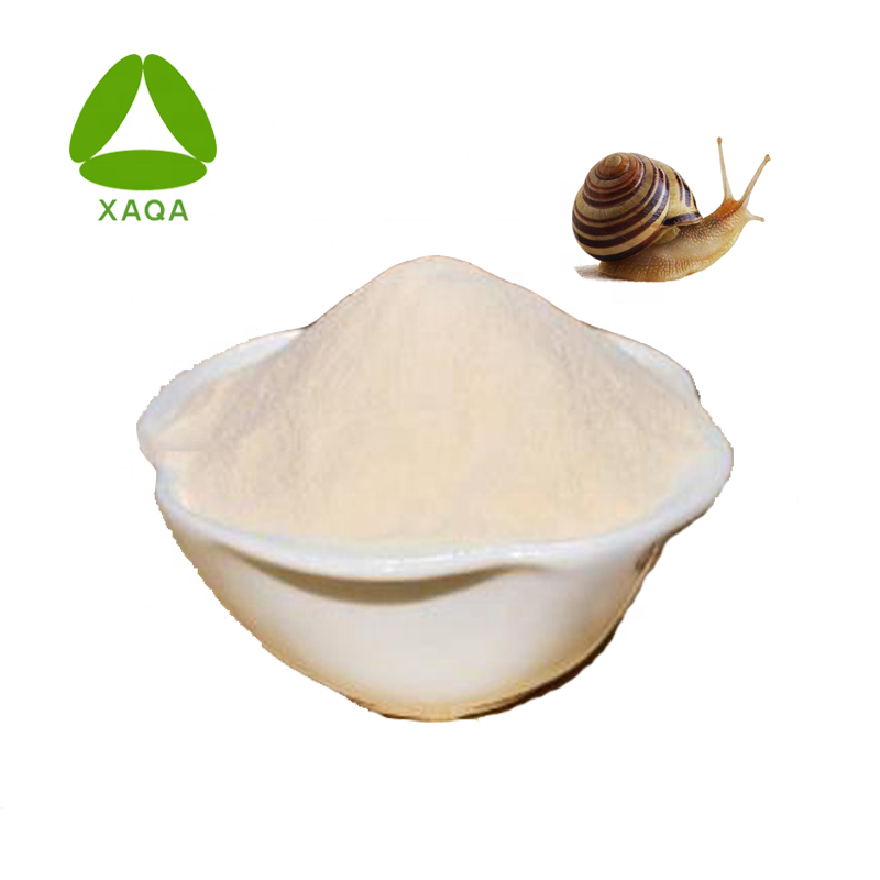 Extracto de limo de caracol Price a granel proteína de proteína de caracol
