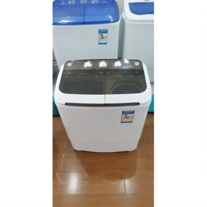 Double bucket mini washing machine
