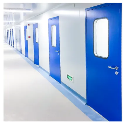 Customized Pharmaceutical Clean Room Double Interior Door