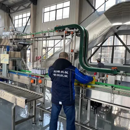 Automatic Papaya Fruit Juice Making Machine - Papaya Juice Processing Equipment