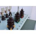 10KV S11/S13 oil Eco-friendly Transformer