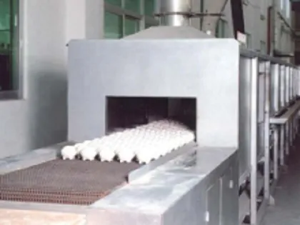 Continuous Hot Air Tempering Furnace