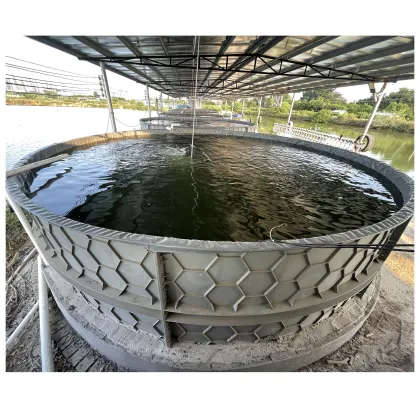 High Quality Factory Direct Fisheries Equipment for Tilapia Pond PP Fish Farming Tanks
