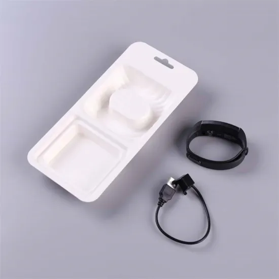 Wet press bagasse pulp molded biodegradable insert packaging