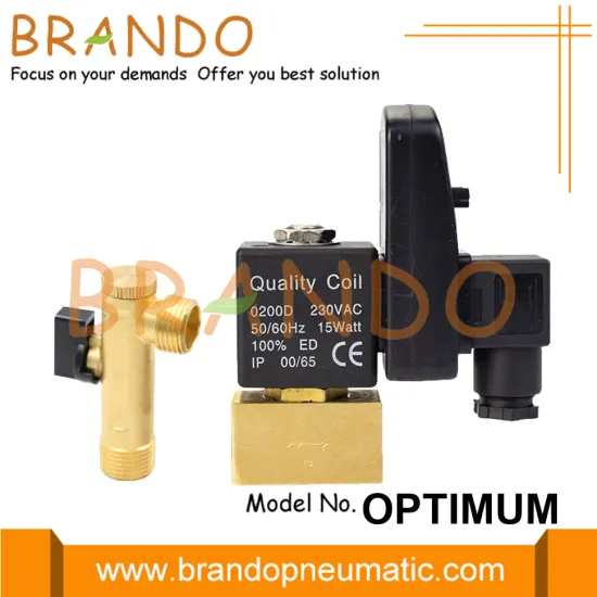 1/2'' NPT Air Compressor Auto Drain Valve 220V