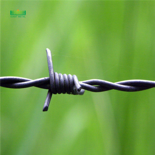 standard weight stainless steel barbed wire