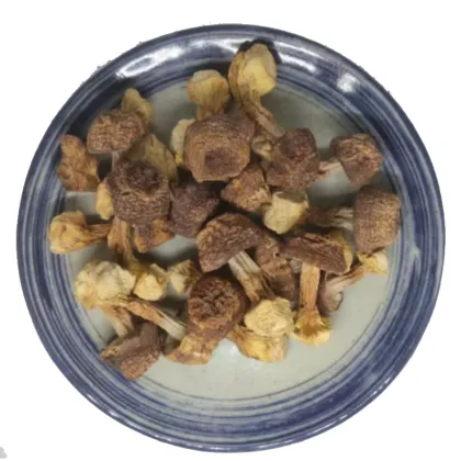 Factory Price Natural Organic Agaricus Blazei Dried Whole Mushrooms