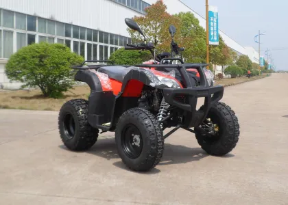 Red Eec Racing 200cc Atv On Mountain Road , One Seat Street Quad Bike