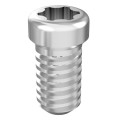 Implanted titanium alloy screw for surgical and dental