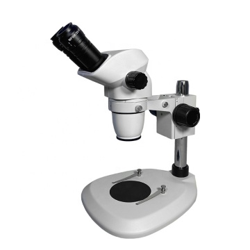 XTL6555 Dissecting Microscopy Binocular Trinocular Zoom Stereo Microscope 6.5X-55X" could be simplified to:

"XTL6555 Binocular Trinocular Zoom Stereo Microscope 6.5X-55X" 

However, if you want a more concise title for a search engine, you might consider