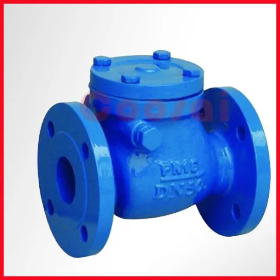 Cast iron din Swing check vlave