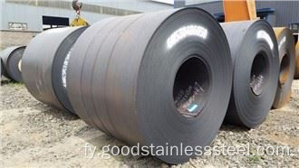 Stainless Steel plaat 1 4 dik