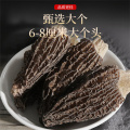 Shenwu Mountain Treasures en conserve Morel