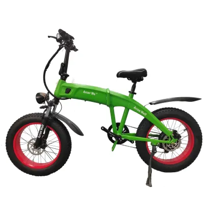 Dual motor snow electric bike