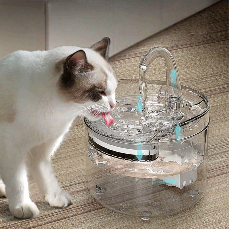 বিড়ালদের জন্য ডুয়াল মোড পোষা জল সরবরাহকারী