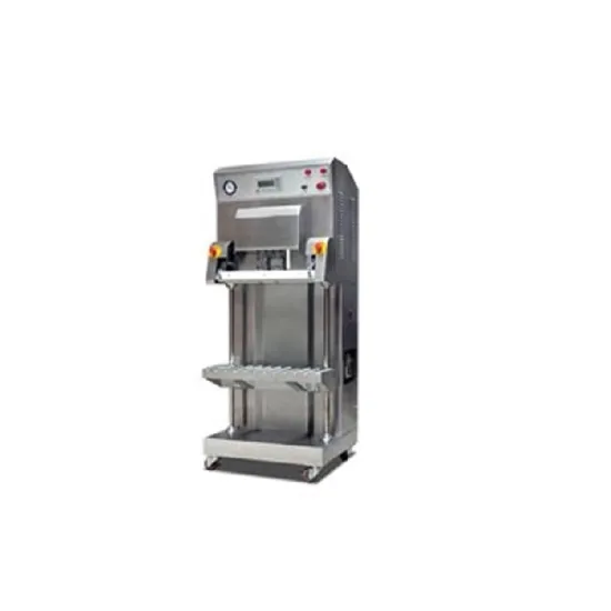 DZQ-700L/S External food vacuum packaging machine
