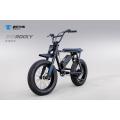 Electric bicycle for adult Rocky