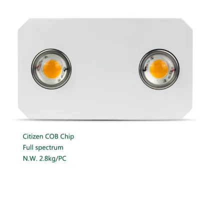 cultivate tent grow light