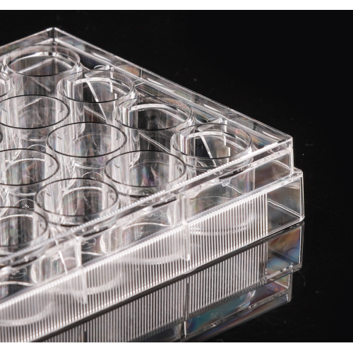 Nontreated 24 well Cell Culture Plates China Manufacturer