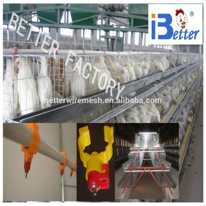 BETTER FACTORY supply high quality poultry nipple drinker,chicken nipple drinker,broiler nipple drinker