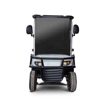 Electric Golf Cart with Cargo Box - Golf Vehicle