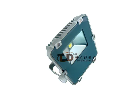 Cool White 10w Commercial Led Flood Lights 1000lm For Building