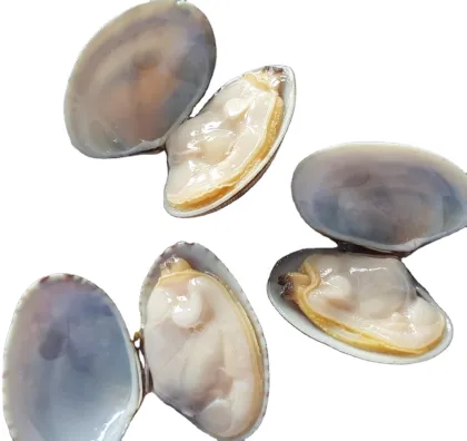 Frozen Cooked Baby Clam Products | Seafood Online