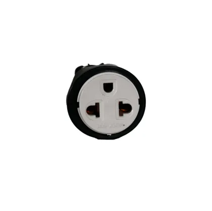 Xuanqi Pugs Sockets: Universal Grounding Plug Socket Standard in Thailand