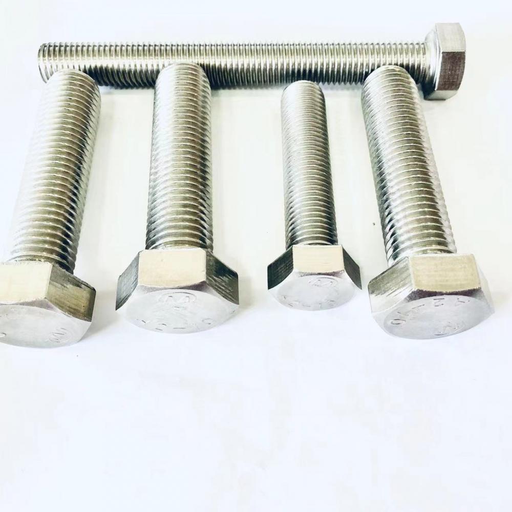 Plain Hex Bolt