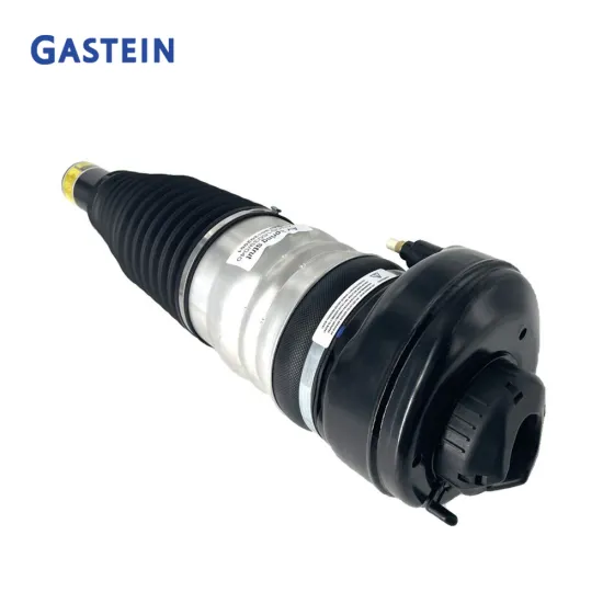 Air Suspension Strut Repair Kits for Audi A8 D5 - 4N4616039F 4N4616040F Front Air Shock Absorber