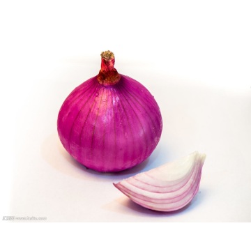 Export Standard Quality of Fresh Red Onion