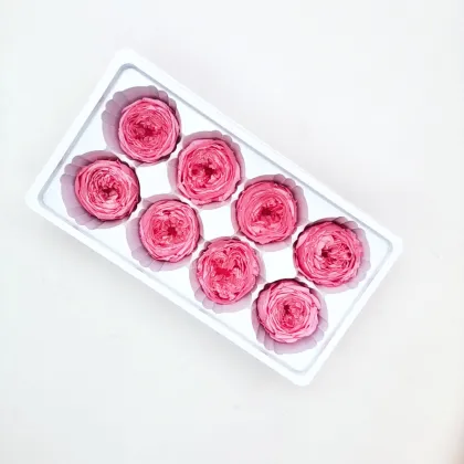 David Austin Roses Real Fresh Preserved Flower 8 Pcs Box