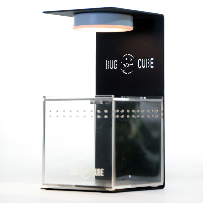 Caixa de criação de acrílico de alta transmissão de tamanho personalizável