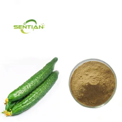 Cucumber Extract Cucumber Powder