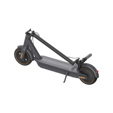 GS-10S 10inch 2 wheel motor electric scooters