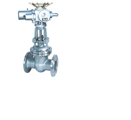 Electric Stainless Wedge Gate Valve