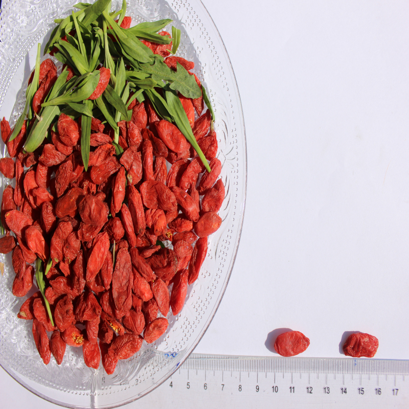 Haute nutrition Certifié sainement séché Goji Berry