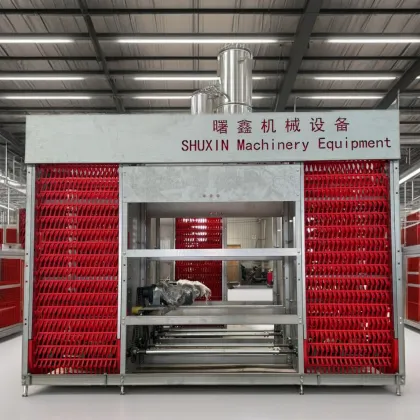 Automatic Egg Packing System for Poultry Farms