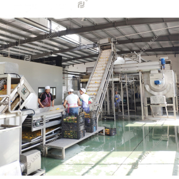Complete Natural Juice Production Line: Fruit Juice and Juicer Manufacturing Equipment