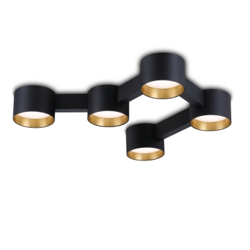 Modern Golden Aluminum LED Ceiling Lights 5*10W