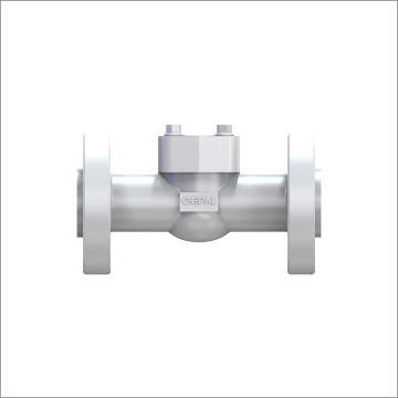 Casting Lift Check Valve