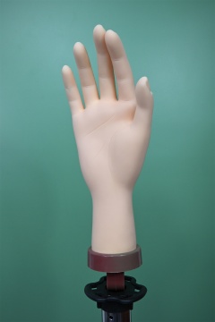 Professional Nail Mannequin Hand for Jewelry