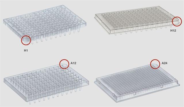 pcr plate7